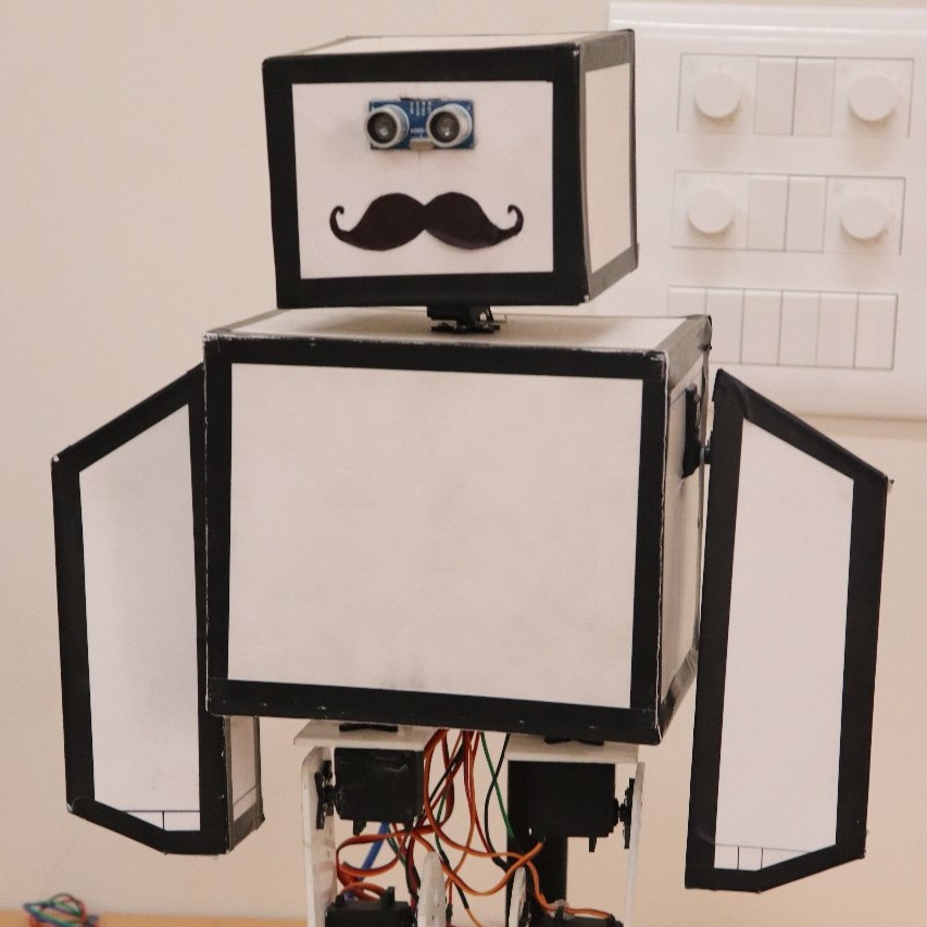 Autonomous Humanoid Robot